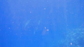 El Quseir Kilo10: риф близко — морская рыбалка на рассветной воде