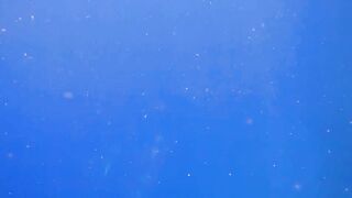 El Quseir Kilo10: риф близко — морская рыбалка на рассветной воде