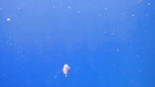 El Quseir Kilo10: риф близко — морская рыбалка на рассветной воде