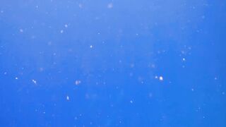 El Quseir Kilo10: риф близко — морская рыбалка на рассветной воде