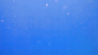 El Quseir Kilo10: риф близко — морская рыбалка на рассветной воде