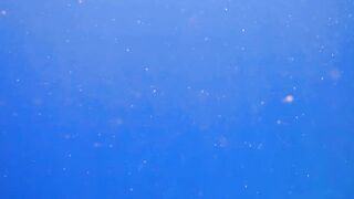 El Quseir Kilo10: риф близко — морская рыбалка на рассветной воде