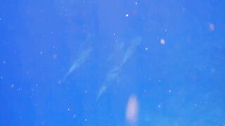 El Quseir Kilo10: риф близко — морская рыбалка на рассветной воде