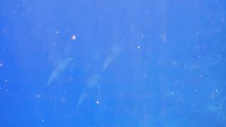 El Quseir Kilo10: риф близко — морская рыбалка на рассветной воде