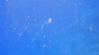 El Quseir Kilo10: риф близко — морская рыбалка на рассветной воде