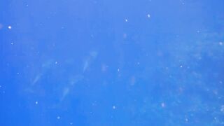 El Quseir Kilo10: риф близко — морская рыбалка на рассветной воде