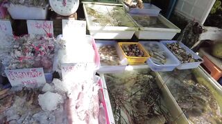 Rawai village после полудня: морская рыбалка на приливе у пирса