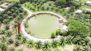 Rawai Monster Park — не паркли? морская рыбалка на платнике нужна?