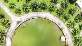 Rawai Monster Park — не паркли? морская рыбалка на платнике нужна?