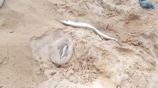 06.10 Kata Beach — вечерняя рыбалка на лёгкий джиг у буёв