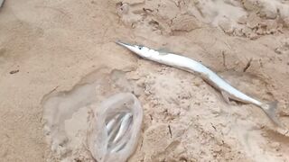 06.10 Kata Beach — вечерняя рыбалка на лёгкий джиг у буёв