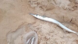 06.10 Kata Beach — вечерняя рыбалка на лёгкий джиг у буёв