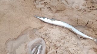 06.10 Kata Beach — вечерняя рыбалка на лёгкий джиг у буёв