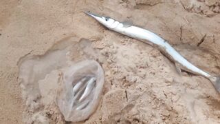 06.10 Kata Beach — вечерняя рыбалка на лёгкий джиг у буёв