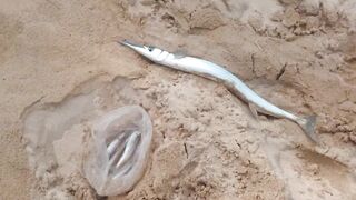 06.10 Kata Beach — вечерняя рыбалка на лёгкий джиг у буёв