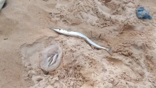 06.10 Kata Beach — вечерняя рыбалка на лёгкий джиг у буёв