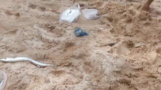 06.10 Kata Beach — вечерняя рыбалка на лёгкий джиг у буёв