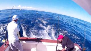Доминикана - экскурсии и морская рыбалка!