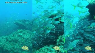 Kata Beach Thailand рыбалка на рассвете возле камней и буёв