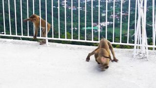 Kata Beach, Phuket: что делать на пляже и где поблизости рыбалка