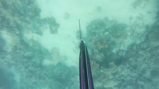 Локдаун-2020 на Пхукете: берег, маска, рыбалка — что реально?