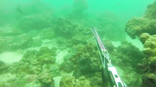 Локдаун-2020 на Пхукете: берег, маска, рыбалка — что реально?