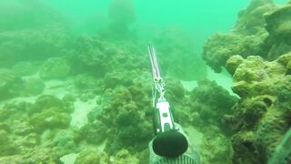 Локдаун-2020 на Пхукете: берег, маска, рыбалка — что реально?