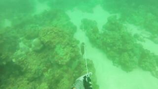 Локдаун-2020 на Пхукете: берег, маска, рыбалка — что реально?