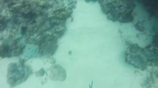 Локдаун-2020 на Пхукете: берег, маска, рыбалка — что реально?