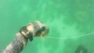 Локдаун-2020 на Пхукете: берег, маска, рыбалка — что реально?