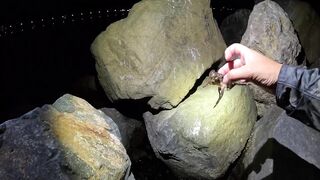 Евпатория, Крым: сплошные ерши #рокфишинг