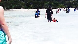 Сурин: акулята у берега — морская рыбалка рядом безопасна?