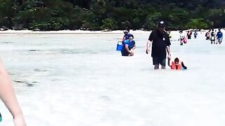 Сурин: акулята у берега — морская рыбалка рядом безопасна?