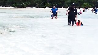 Сурин: акулята у берега — морская рыбалка рядом безопасна?