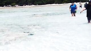 Сурин: акулята у берега — морская рыбалка рядом безопасна?