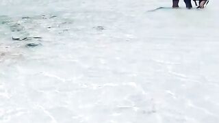 Сурин: акулята у берега — морская рыбалка рядом безопасна?