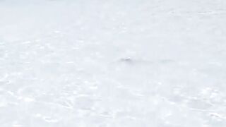 Сурин: акулята у берега — морская рыбалка рядом безопасна?