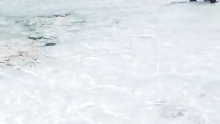 Сурин: акулята у берега — морская рыбалка рядом безопасна?