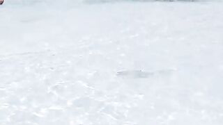 Сурин: акулята у берега — морская рыбалка рядом безопасна?