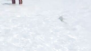 Сурин: акулята у берега — морская рыбалка рядом безопасна?