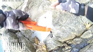 Light Shore Game на Surin: морская рыбалка на лёгкий металл