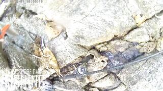 Light Shore Game на Surin: морская рыбалка на лёгкий металл