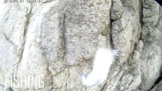 Light Shore Game на Surin: морская рыбалка на лёгкий металл