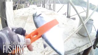 Light Shore Game на Surin: морская рыбалка на лёгкий металл