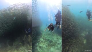 Ко Тао, огромная стая у берега — морская рыбалка на поверхности работает?