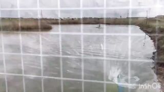 Сакский район, озёра - Крым, Евпатория. Рыбалка - хроника