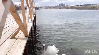 Сакский район, озёра - Крым, Евпатория. Рыбалка - хроника