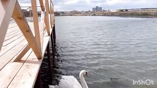 Сакский район, озёра - Крым, Евпатория. Рыбалка - хроника