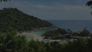 Ко Тао, цены и снорклинг, рыбалка на Сайри и как добраться