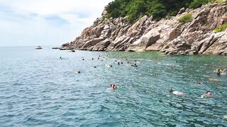 Ко Тао, цены и снорклинг, рыбалка на Сайри и как добраться